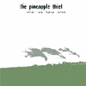The Pineapple Thief - What We Have Sown flac