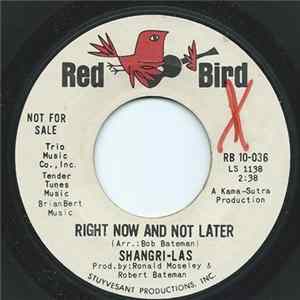 The Shangri-Las - Right Now And Not Later / The Train From Kansas City flac