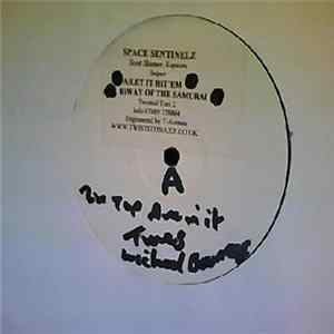 Space Sentinelz - Let It Hit Em flac
