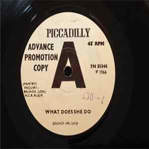 Sounds Around - What Does She Do flac