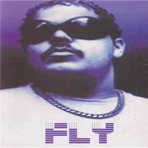 DJ Sneak - Fly flac