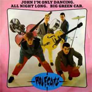 Polecats - John I'm Only Dancing flac