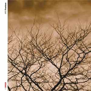 ARC - Fracture flac