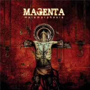 Magenta - Metamorphosis flac