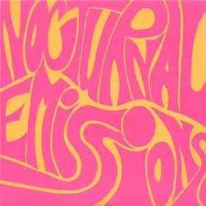 Nocturnal Emissions - Rock & Roll flac