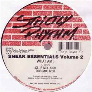 DJ Sneak - Sneak Essentials Volume 2 flac