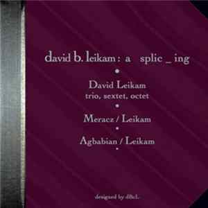 David Leikam - David B. Leikam : A Splic _ Ing flac