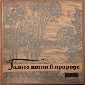 No Artist - Голоса Птиц В Природе flac