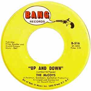 The McCoys - Up And Down flac