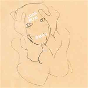 Smog - Look Now flac