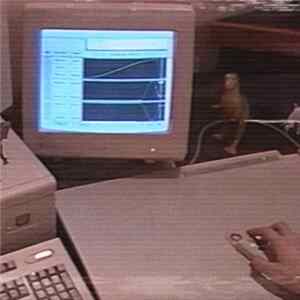 Informatics - No World flac