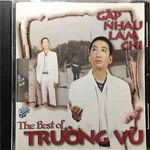 Trường Vũ - Gặp Nhau Làm Chi - The Best Of Trường Vũ flac