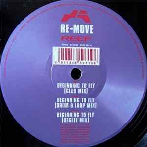 Re-Move - Beginning To Fly flac