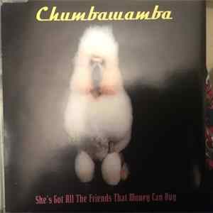 Chumbawamba - She's Got All The Friends That Money Can Buy flac