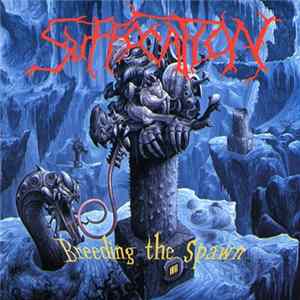 Suffocation - Breeding The Spawn flac