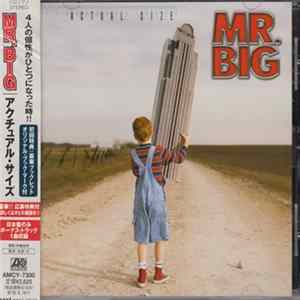 Mr. Big - Actual Size flac