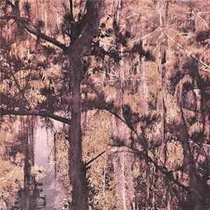 Holy Ghost Party - Bayou Music flac