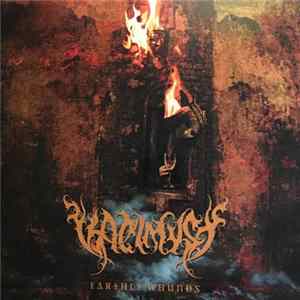 Vaelmyst - Earthly Wounds flac