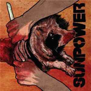 Sunpower - Pain For Profit flac