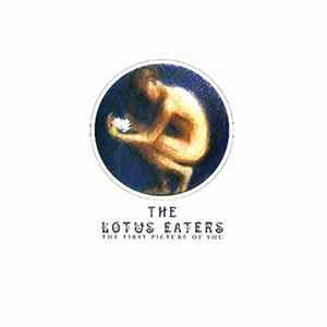 The Lotus Eaters - The First Picture Of You flac