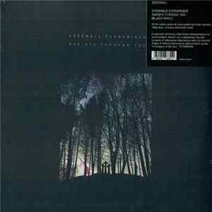 Ensemble Economique - Radiate Through You flac