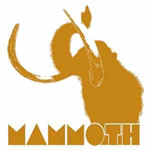Mammoth - Dub The Disco flac