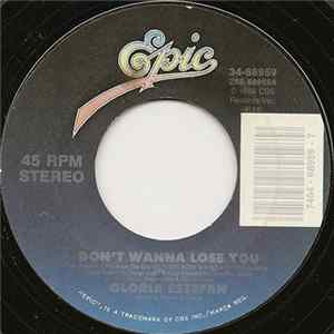 Gloria Estefan - Don't Wanna Lose You flac