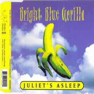 Bright Blue Gorilla - Juliet's Asleep flac