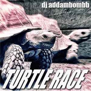 DJ Addambombb - Turtle Race flac
