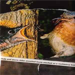 Viridiplantae - Untitled flac