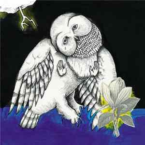 Songs: Ohia - The Magnolia Electric Co. flac