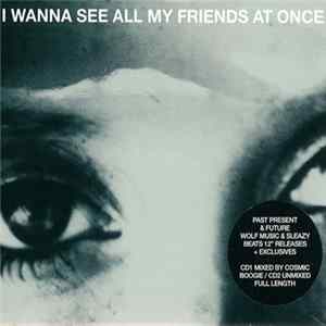 Various - I Wanna See All My Friends At Once flac