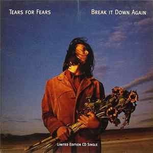 Tears For Fears - Break It Down Again flac