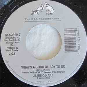 Jamie O'Hara - What's A Good Ol' Boy To Do flac