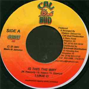 Lukie D - Is This The Way flac
