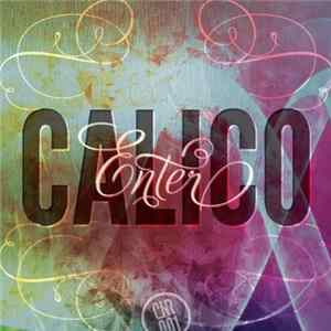 Various - Enter Calico flac