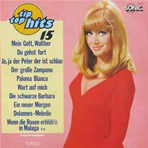 Orchester Udo Reichel - Tip Top Hits 15 flac