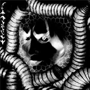 technet - combine & ending's beauty flac