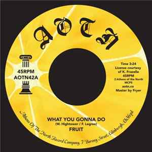Fruit - What You Gonna Do flac