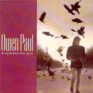 Owen Paul - Bring Me Back That Spark flac