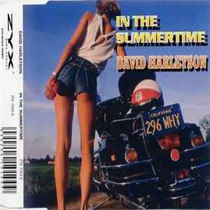 David Harleyson - In The Summertime flac