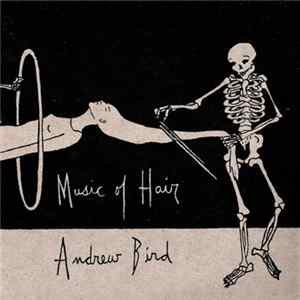 Andrew Bird - Music Of Hair flac
