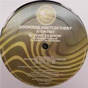 Doghouse Meets DJ Tubby - On Fire / Dont Ya Know flac