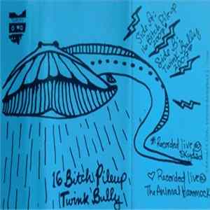 16 Bitch Pile-Up / Twink Bully - 16 Bitch Pile-Up / Twink Bully flac
