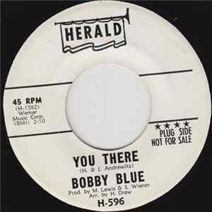 Bobby Blue - You There flac