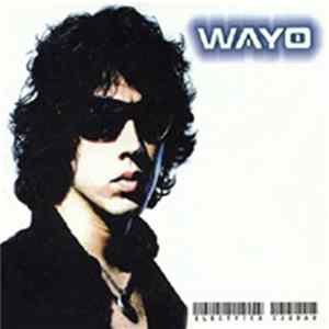 Wayo - Eléctrica Ciudad flac