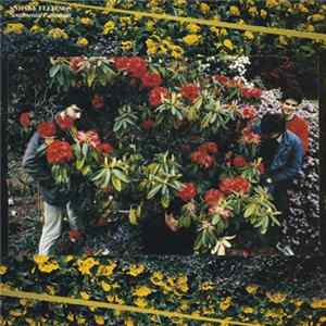 Sneaky Feelings - Sentimental Education flac