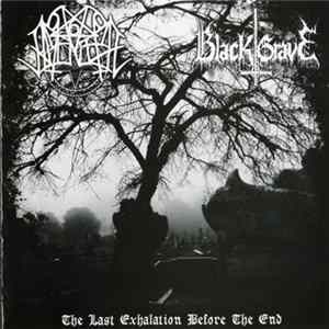 Nocturnal Amentia / Black Grave - The Last Exhalation Before The End flac