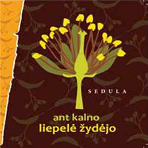 Sedula - Ant Kalno Liepelė Žydėjo flac