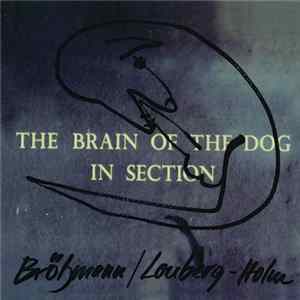 Brötzmann / Lonberg-Holm - The Brain Of The Dog In Section flac